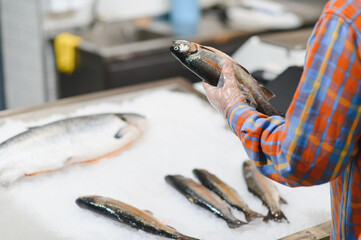 Fototapeta premium Man choosing fresh chilled fish in grocery store