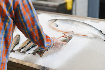 Man's Hand choosing fish for cooking