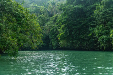 Obraz premium Wide shot of the river of Green Canyon in Pangandaran, West Java, Indonesia. One of the most famous tourist attractions in West Java.