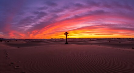 Serene Sunset over Vast Sand Dunes in the Sahara Desert with Single Palm Tree Silhouette