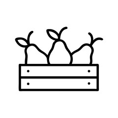 Crate of pears with fresh fruits in minimalist line art style  