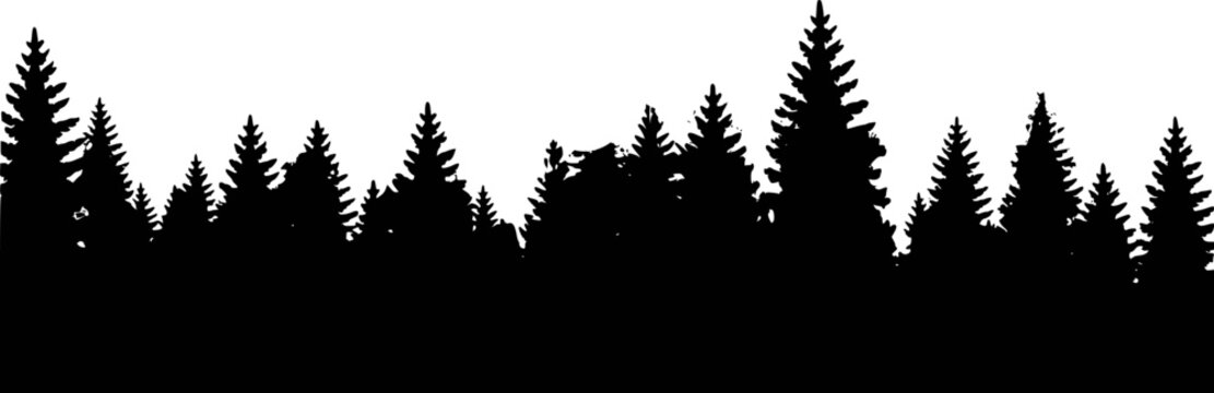 Black silhouette of a forest trees landscape with many fir trees for natural design elements