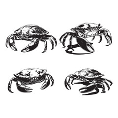 crab in black and white vector side pose black and white vector
