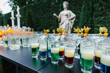 Bar with alcoholic drinks of different colors. Beautiful arrangement of glasses. Service at an...