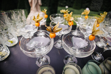 Tequila served with exotic fruits. The glasses are empty, ready to be filled.