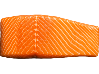 raw salmon steak
