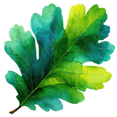 Vibrant Autumn Leaf: A watercolor painting of a single oak leaf, showcasing a vibrant gradient of green and teal hues. The leaf's detailed veins and texture are beautifully captured.