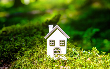 the symbol of the house stands on green moss
