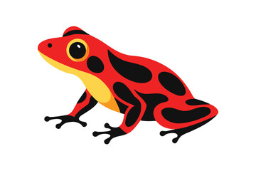 Vibrant red and black poison dart frog illustration