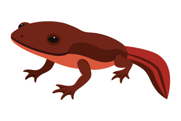 Cartoon illustration of a red spotted newt with a long tail