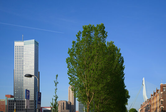 Modern architecture and urban landscape in Rotterdam with a view of the Erasmus Bridge and skyscrapers under a clear blue sky