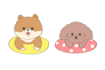 浮き輪で浮かぶポメラニアンとトイプードルの可愛い手書きイラスト