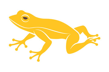 Stylized yellow frog with detailed limbs and eyes on white background