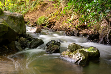 Fototapeta premium small waterfall in the forest
