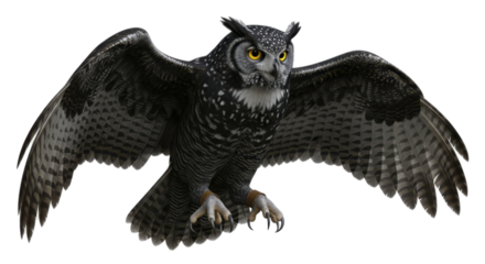 Spotted Eagle Owl with Wings Spread isolated on a transparent background bird raptor
