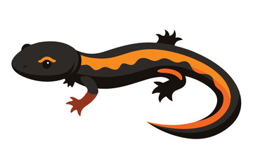 Cute cartoon newt with orange stripe and black body