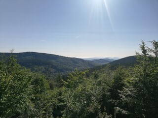Mountain forest wide panorama. The Giant Mountains. Wild Sudetes mountains. Hiking travel through central Europe.