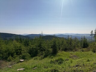 Mountain forest wide panorama. The Giant Mountains. Wild Sudetes mountains. Hiking travel through central Europe.