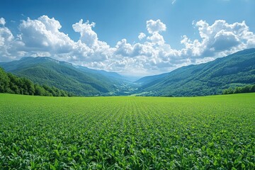 Lush Green Field with Mountain Backdrop