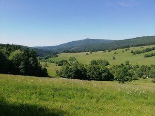 Mountain forest wide panorama. The Giant Mountains. Wild Sudetes mountains. Hiking travel through central Europe.