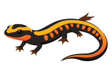 Vibrant cartoon salamander with orange and yellow markings on white