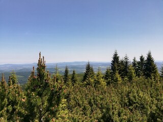 Mountain forest wide panorama. The Giant Mountains. Wild Sudetes mountains. Hiking travel through central Europe.
