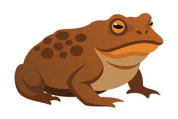 A cartoon illustration of a brown toad with orange accents