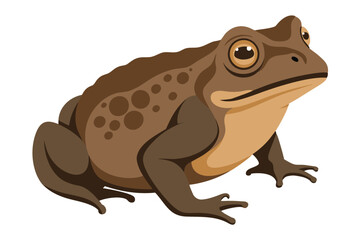 Brown spotted toad illustrated with detailed features and realistic coloring