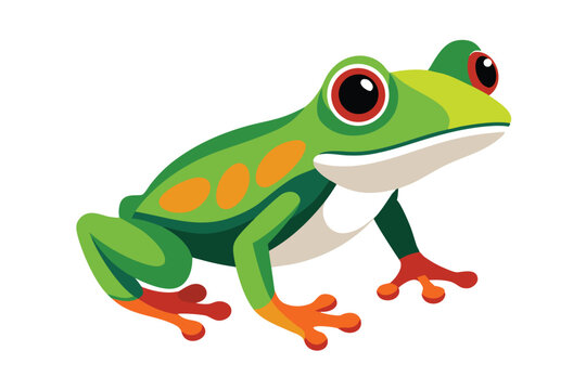 Vibrant cartoon red eyed tree frog illustration with bright orange spots