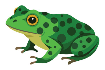 A green spotted frog with large yellow eyes on a white background