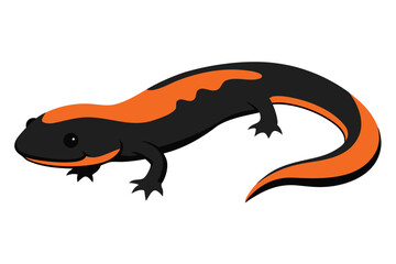 Cartoon illustration of a black and orange salamander on a white background