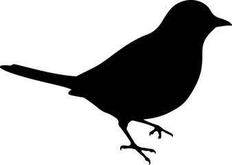 silhouette of a bird