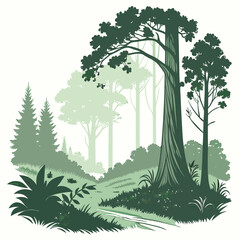Obraz premium Verdant forest path with tall trees nature green