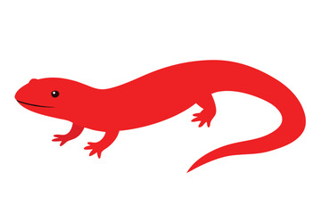Fototapeta premium Bright red salamander with a long tail on a white background