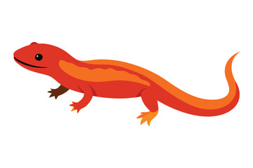 Fototapeta premium Bright orange salamander with dark stripes on a white background