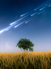 Shooting stars over the field at sunset, dreamy landscape. Meteor stream in the sky. Landscape with...