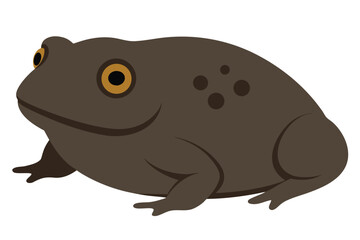 A simple cartoon illustration of a brown toad with yellow eyes and dark spots