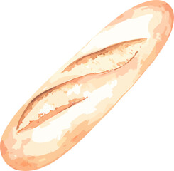 Baguette watercolor vector illustration