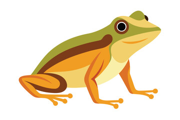 Stylized illustration of a green and orange frog with a white background