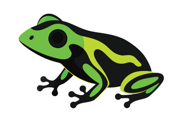 Vibrant green and black poison dart frog illustration