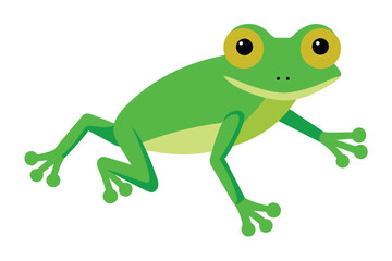 Cute cartoon green frog with big yellow eyes on a white background