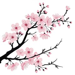 pink cherry blossom
