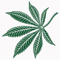 Dark green cannabis leaf with white veins marijuana leaf