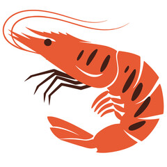 vector illustration of a  shrimp