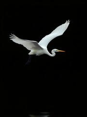 Elegant Serenity: The Great Egret in Flight