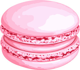 Macaroon watercolor vector illustration