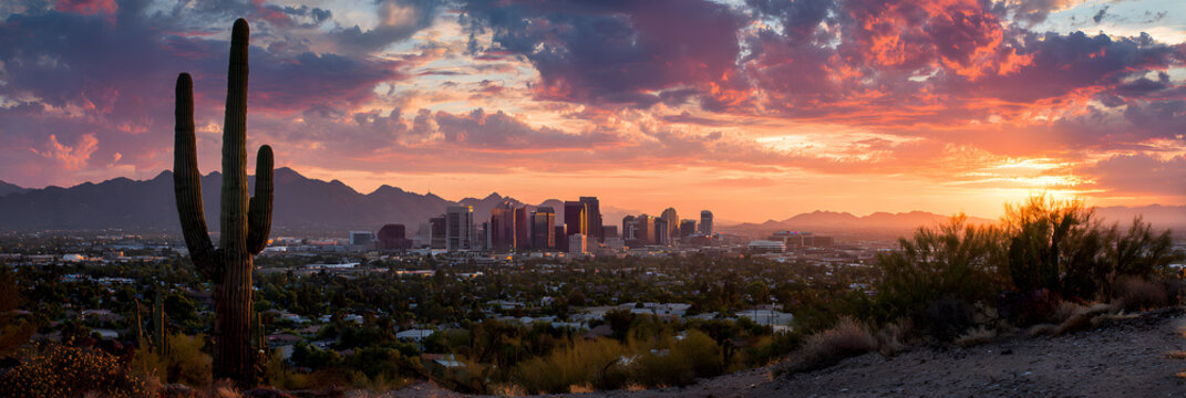 Phoenix Arizona Skyline at Sunset, Cactus Foreground, Documentary Photography Style