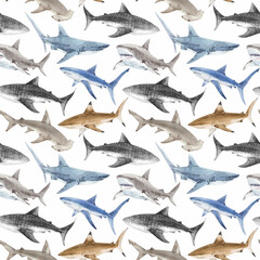 Seamless Watercolor Shark Pattern. Ocean Predator Illustration for Kids and Fabric