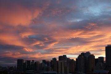 Fototapeta premium breathtaking summer sunset paints city skyline with vibrant hues of orange pink and purple