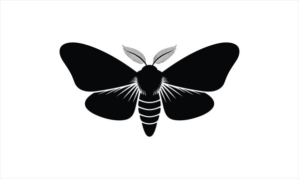 Elegant moth silhouette design